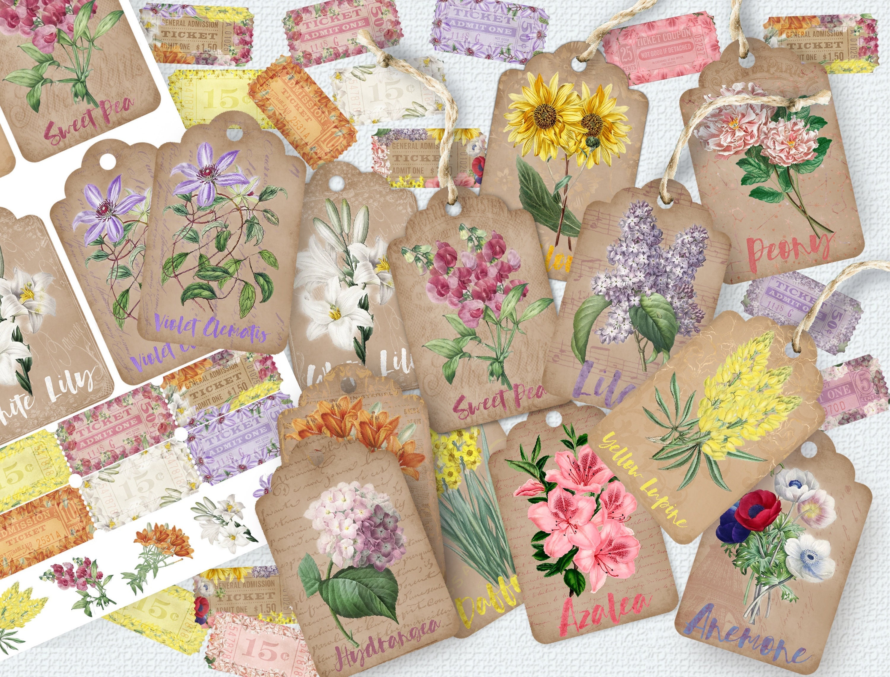 Botanical Tags, Digital Tags, Junk Journal Digitals, Transparent PNG ...