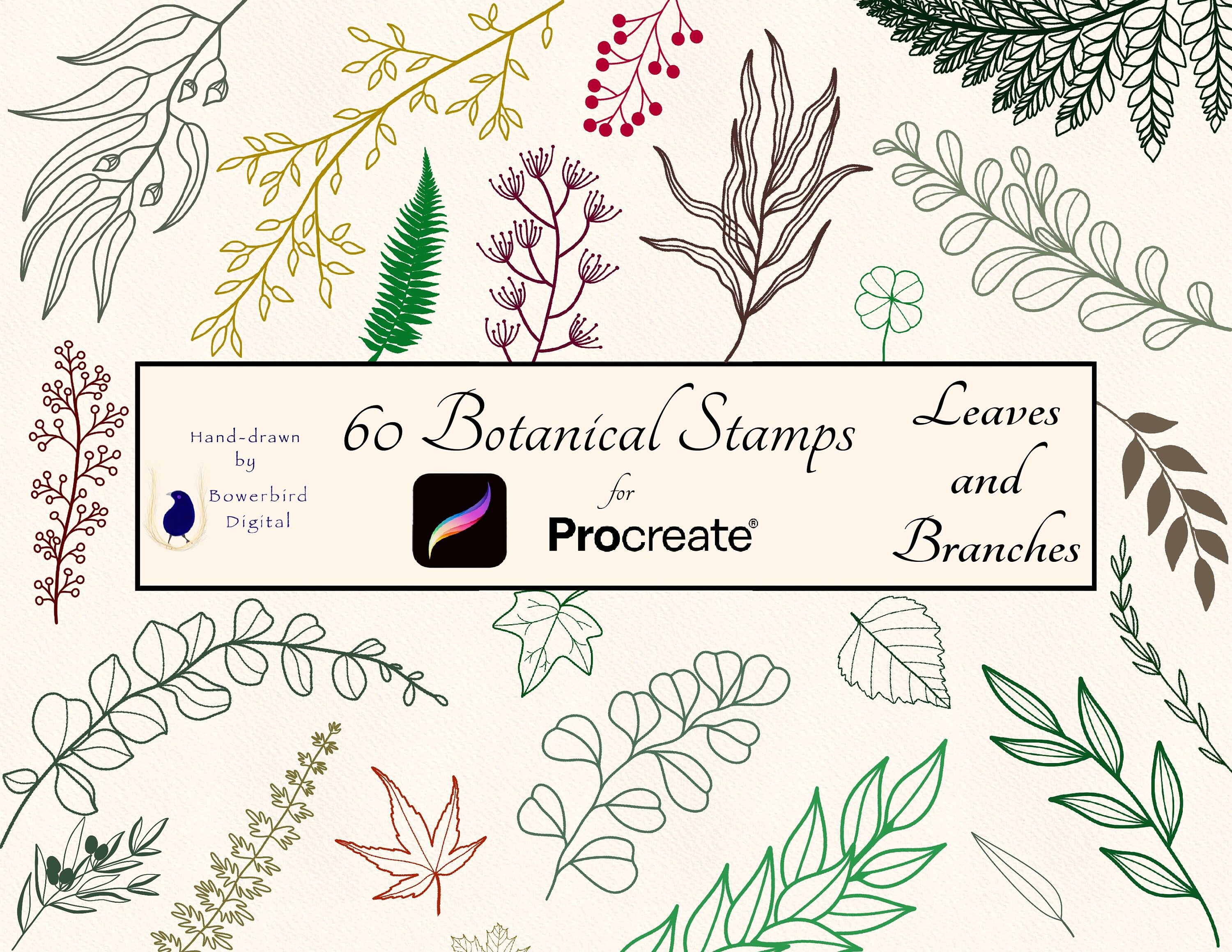 Procreate Stamps, Botanical Procreate Stamp Set, Digital Stamp Pack, Leaf Stamp, Branch Stamp, Digital, Botanical Designs, Minimalist, Boho