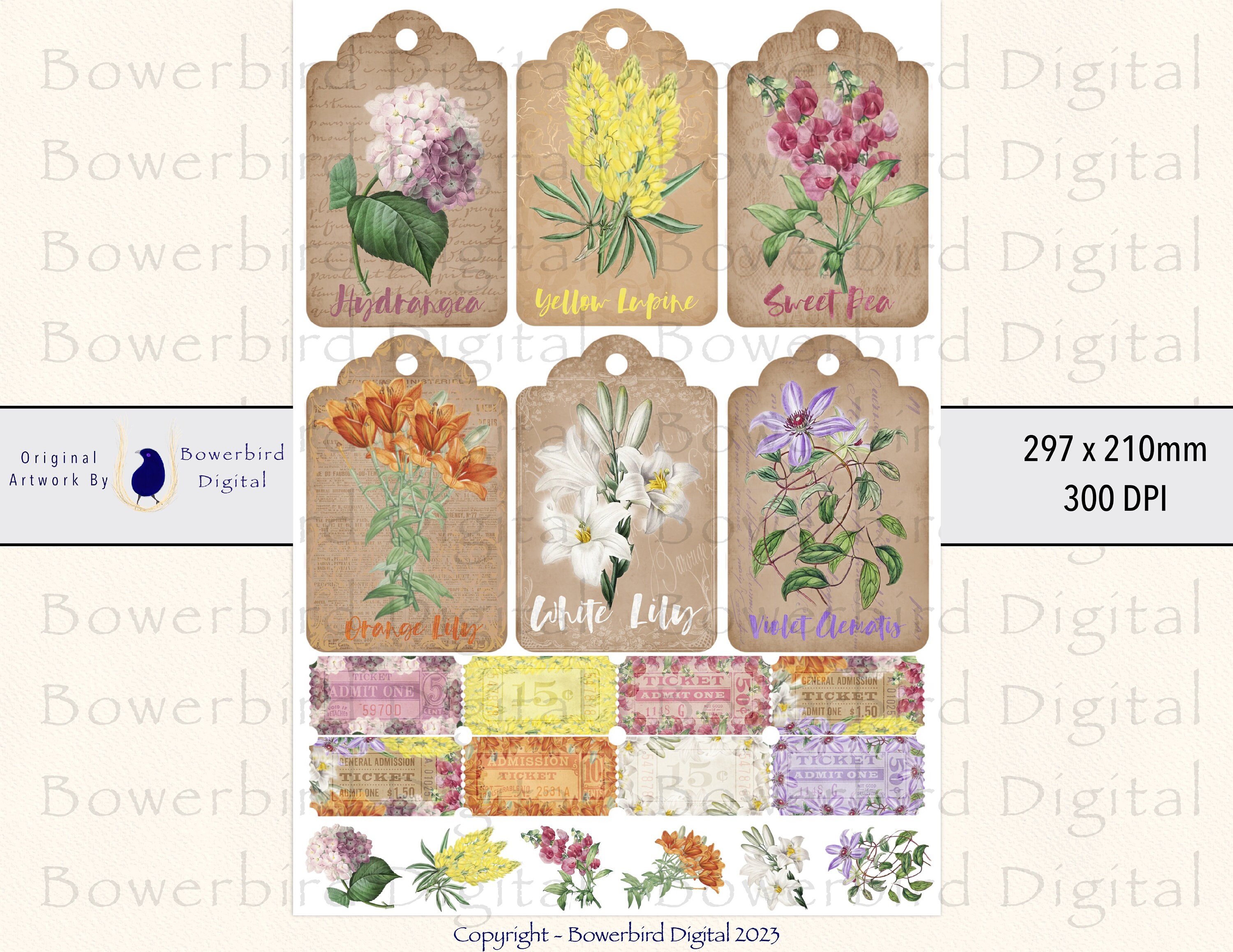 Botanical Tags, Digital Tags, Junk Journal Digitals, Transparent PNG ...
