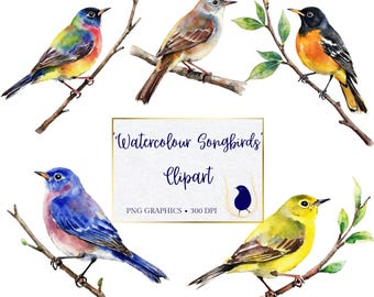 Watercolor Bird Clipart, Colorful Songbird PNG Graphics, Digital Download, Bird Enthusiast, Scrapbooking, Journalling, Sticker Graphics
