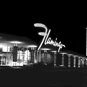 Old Las Vegas Flamingo Hotel (1956) The Strip Historical Photo - 17&quot; x 22&quot; Fine Art Print