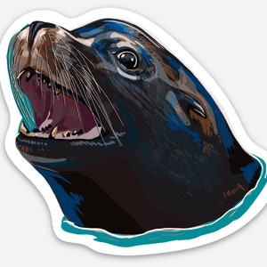 May include: A close-up of a sea lion's head with its mouth open, showing its teeth. The sea lion is in the water, with its head and neck above the surface. The water is a turquoise blue color.
