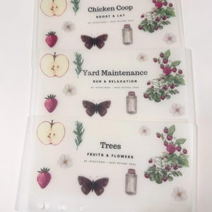 Fruit & Flutter Apotheker-Kollektion | 3er-Set Pergamin-Geldumschläge | Matt | Laminat | Bargeld Umschlag System | Sinkende Mittel