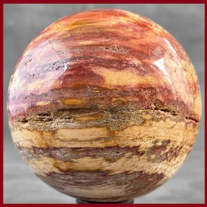 Erhabene handpolierte Quarzkugel aus versteinertem Holz 1,5 kg