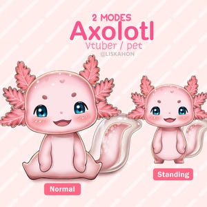 Cute Axolotl Vtuber -Fully Rigged! / Pet / Vtuber for Twitch, Kick, Youtube