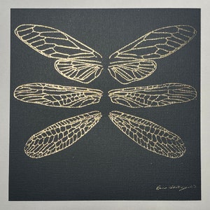 Ailes d'insecte dorées sur papier cartonné noir