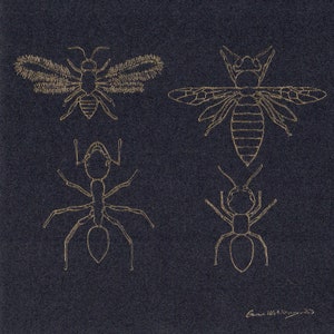 Guêpes dorées sur papier cartonné noir