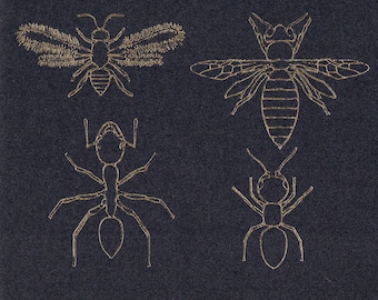 Gold wasps on black card stock