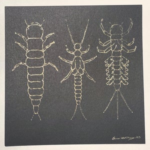 Papier cartonné aquatique or sur noir