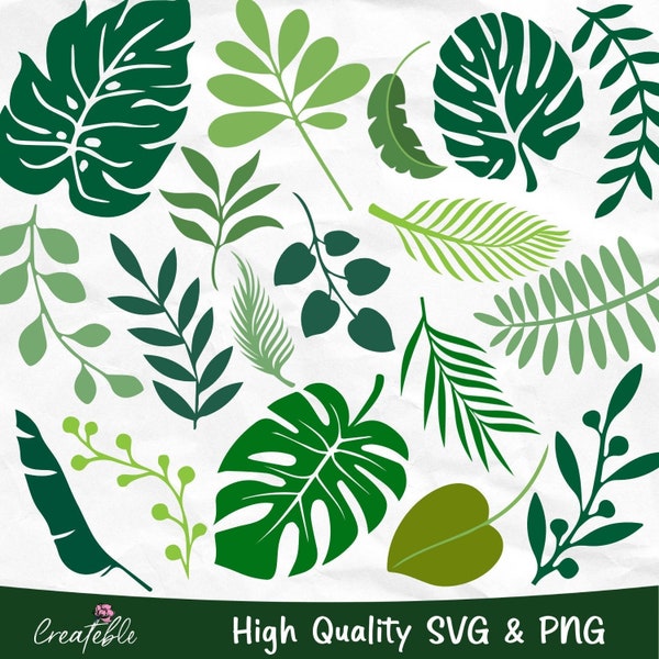 Tropical Leaves SVG PNG Bundle, Monstera SVG, Palm Leaf svg, Tropical leaf png, botanical svg bundle