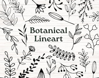 Wildflower SVG, Pacchetto SVG Wildflower, Lineart floreale, Lineart botanico, Fiori vettoriali disegnati a mano, Boho Wildflower SVG