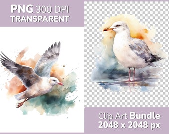 Seagull Bird Clipart Bundle - 8x Detailed Watercolor Motifs - PNG Transparent Background - Commercial Use, Nature, Animals, Birds