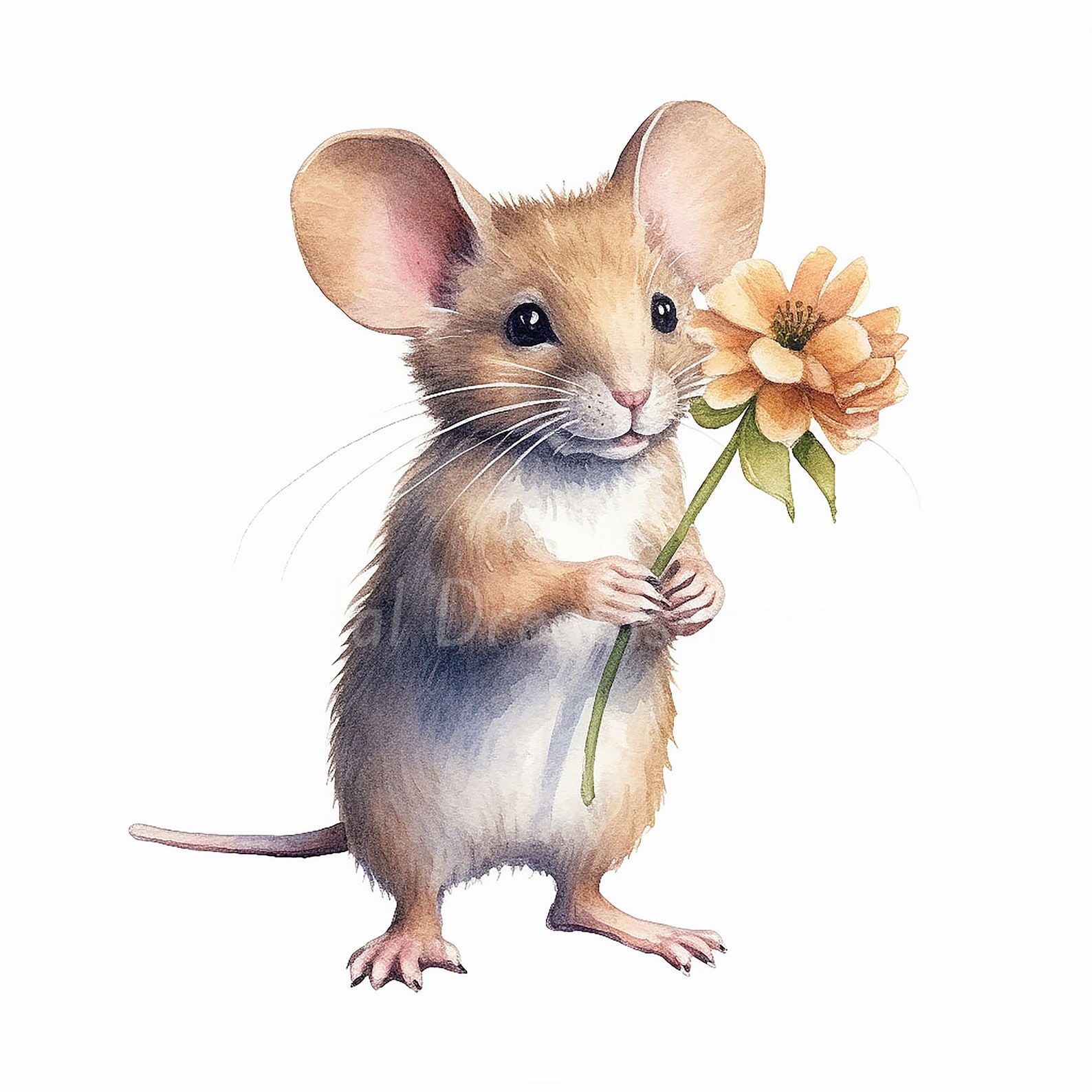 Süße Maus mit Blume Clipart Bundle Digitaler Download, Aquarell Clip