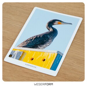 Postkarte mit Kormoran auf hochwertigen Fineart-Fotopapier - Vogelmotiv - Grußkarte - Tierpostkarte