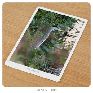 Postkarte mit Vogelmotiv auf hochwertigen Fineart-Fotopapier - Reiher - Fischreiher - Graureiher - Grußkarte - Tiermotiv
