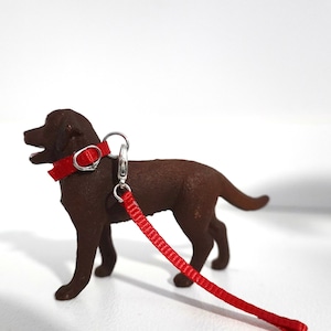 Schleich Dog Mystery Collar Set (Random Colour Recieved When Purchased - Read Desc)
