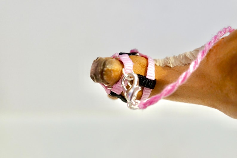 Schleich Horse Svart/Rosa Grimma - NY OCH FÖRBÄTTRAD bild 3