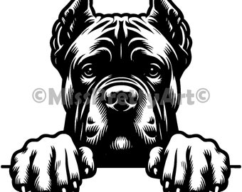 Peeking Cane Corso dog design Svg , Dxf, Png, Eps high quality design - instant digital downloads