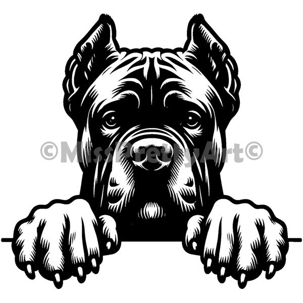 Peeking Cane Corso dog design Svg , Dxf, Png, Eps high quality design - instant digital downloads