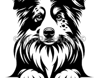 Peeking Australian Shepherd dog Svg , Dxf, Png, Eps high quality design - instant digital downloads