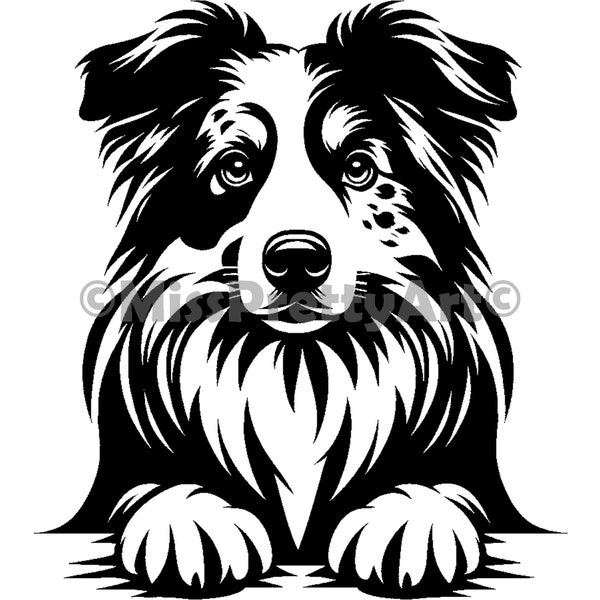 Peeking Australian Shepherd dog Svg , Dxf, Png, Eps high quality design - instant digital downloads