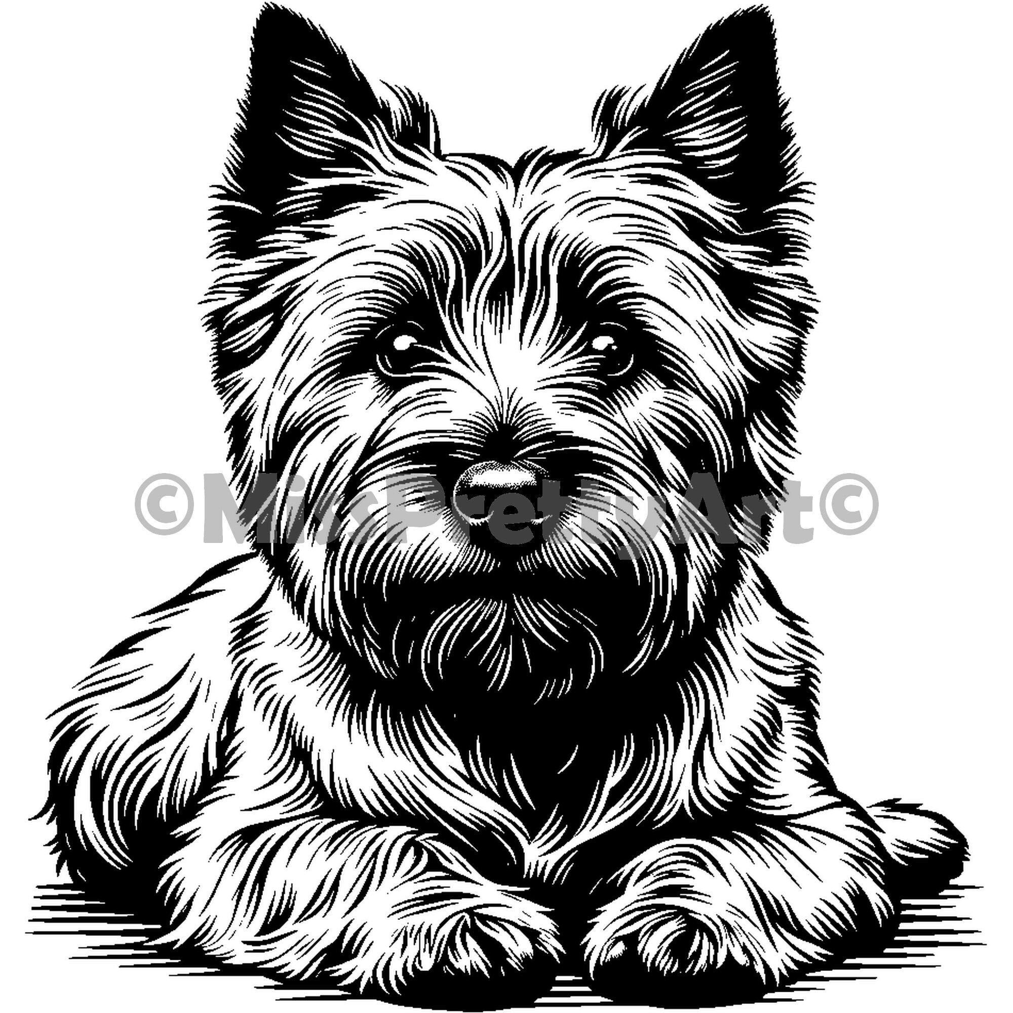 Peeking fluffy  Cairn Terrier dog design Svg , Dxf, Png, Eps high quality design - instant digital downloads