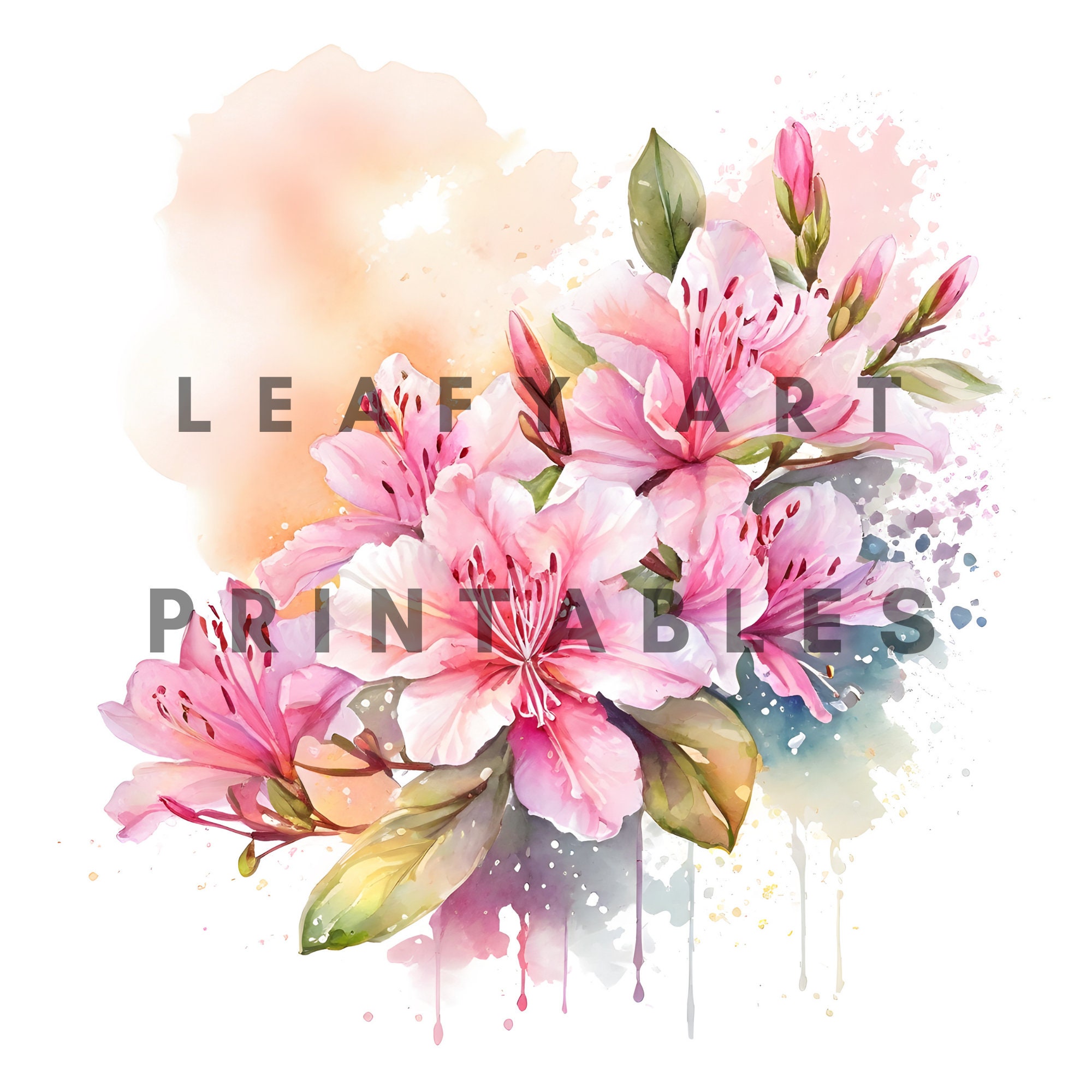 Azalea Flower Clipart Pack, 10 High Quality Jpgs, Commercial License