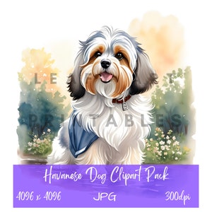 Havanese Dog Clipart Pack - 10 High Quality JPGs Commercial License Clipart Watercolor, Scrapbooking, Cardmaking