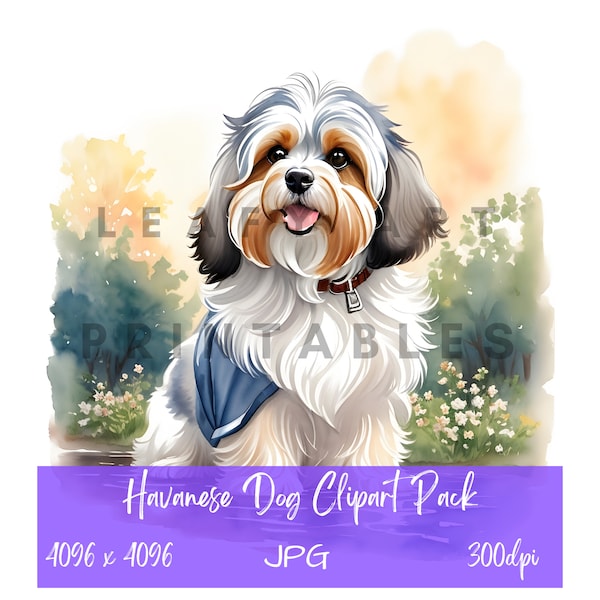 Havaneser Hund Clipart Pack - 10 hochwertige JPGs kommerzielle Lizenz Clipart Aquarell, Scrapbooking, Cardmaking