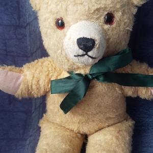 1960s Pedigree Teddy - Etsy UK
