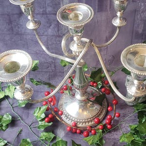 May include: Silver candelabra with five candle holders. The candelabra has a decorative base and curved arms. Red berries and green leaves surround the candelabra, creating a festive display.