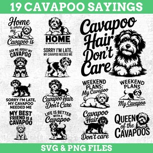 Cavapoo Dog Pet Lover Sayings Svg & Png-bundel met leuke quotes voor snijmachines instant downloads