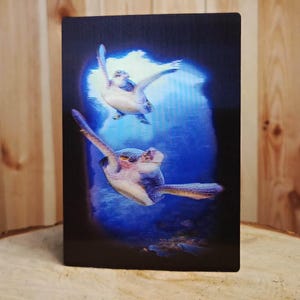3D-lentikulare Postkarte 12 x 17 cm Schildkröten 3D-Effekt holografischStereoskopisches Anaglyphen-Zauberbild-Poster