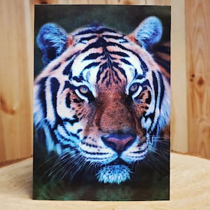 Cartolina lenticolare 3D 12 x 17 cm TIGER Effetto 3D piccoli poster magici anaglifi stereoscopici olografici