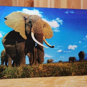 3D-Lentikularpostkarte 12 x 17 cm Elefant 3D-Effekt holografisch Stereoskopisches Anaglyphen-Zauberbild-Poster