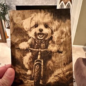 Maltese puppy on a bike.