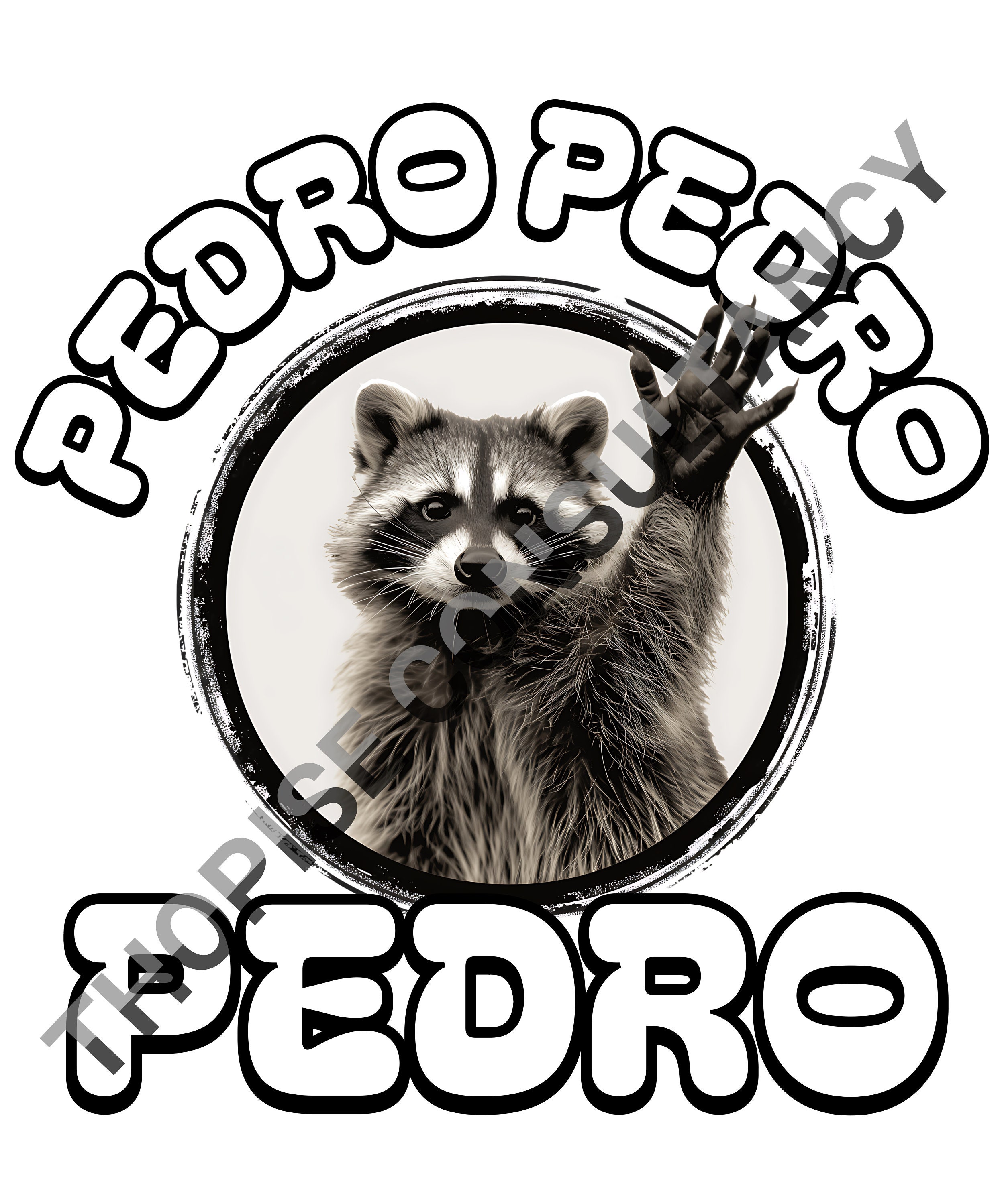 Pedro Racoon Icon Pedro Pedro Pedro | PNG | Digital Art | Graphic | Tiktok | Raccoon ...