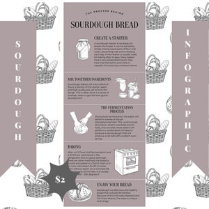 Sourdough Bread Infographic, Baking Process of Sourdough, Sourdough Process