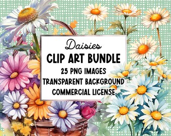 Daisies Clipart, daisy clip art, floral clipart graphics, flowers clipart bundle, flowers sublimation, digital download, digital png