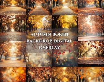 Autumn Bokeh Digital Photography Backdrops, Photoshop Overlays, Studio Backdrops For Photographers, Wedding & Senior Backdrops overlays