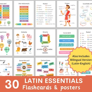 Schede didattiche e poster di latino, apprendimento della lingua latina, poster di latino per la classe, nozioni essenziali di latino, imparare il latino