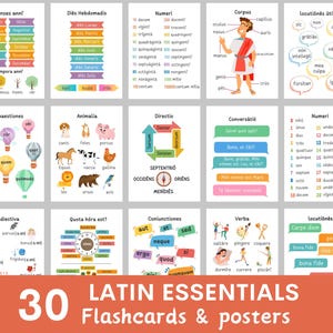 Schede didattiche e poster di latino, apprendimento della lingua latina, poster di latino in classe, elementi essenziali di latino, impara il latino