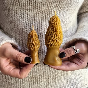Peut inclure: Deux bougies en forme de champignon de différentes tailles. Les bougies sont d'une couleur brun doré chaud, avec des surfaces texturées complexes imitant l'apparence des morilles. Chaque bougie a une fine mèche de couleur claire qui dépasse du haut.