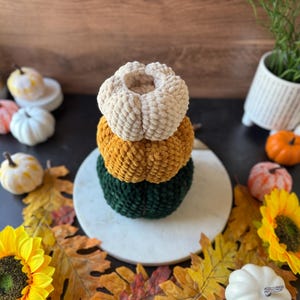 Pu&ograve; includere: Una pila di tre zucche di peluche fatte a mano in crema, oro e verde. Le zucche sono disposte su un piatto di marmo bianco, circondate da foglie autunnali, girasoli e piccole zucche decorative. Una decorazione autunnale.