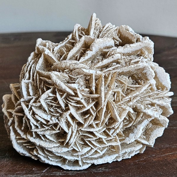 Desert Rose, from Mexico, cut base, large, white/cream, Beach decor, Gift, Unique, Petrified sand, Mom, Daughter, Wedding, gift, home decor