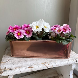May include: A copper rectangular planter filled with pink and white primroses. The flowers have green leaves and yellow centres. The planter sits on a distressed white wooden bench.