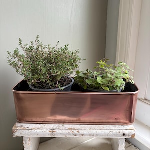 May include: A copper rectangular planter box containing two potted herbs, thyme and oregano, on a distressed white wooden stool. The herbs have green leaves and are in black plastic pots. The copper planter has a shiny finish.