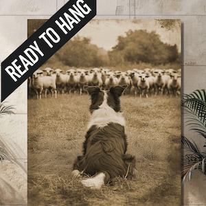Border Collie Wall Art Series, Vintage Herding Scenes on Canvas, Ideal Home Decor, Great Gift for Animal Lovers, 2 of 3 in series
