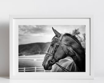 Black and White Horse Photo Digital Download - Instant Download, Wall Art Print