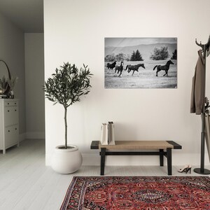 Black and White Wild Horses Acrylic Wall Art, Unique Wall Art